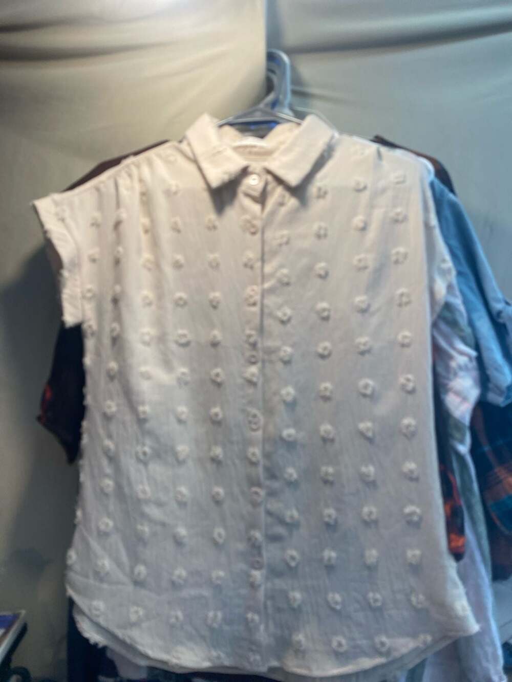 Bothenial Women's White Textured Swiss Dot Short Sleeve Button Down Chiffon Blou